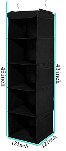 2 Pack Hanging Closet Organizer, 5 Shelves Hanging Storage with 6 Side Pockets for Clothes Shoes, 43"x12"x12"(Black)