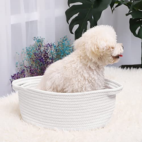 ABenkle Small Baskets with Handles - Decorative Durable Rope Woven Shelf Storage Organizer Bin, Gift Basket for Father's Day Easter Baby Shower, 12"x8"x5", White