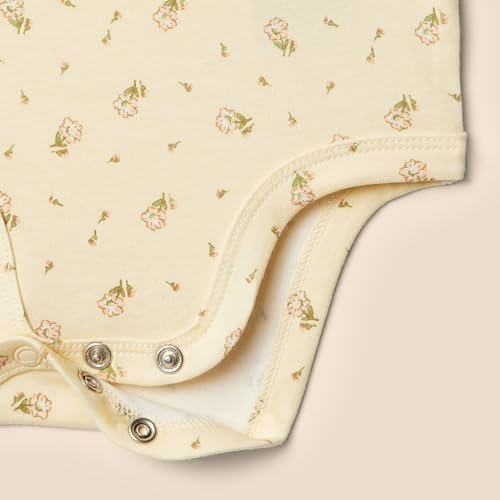 Amazon Essentials x Sofia Grainge Baby Girls' Embroidered Ruffle Bodysuit, Pack of 2