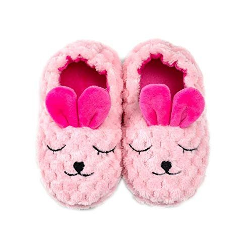 Baby Girl's Premium Soft Plush Slippers Cartoon Warm Winter House Shoes