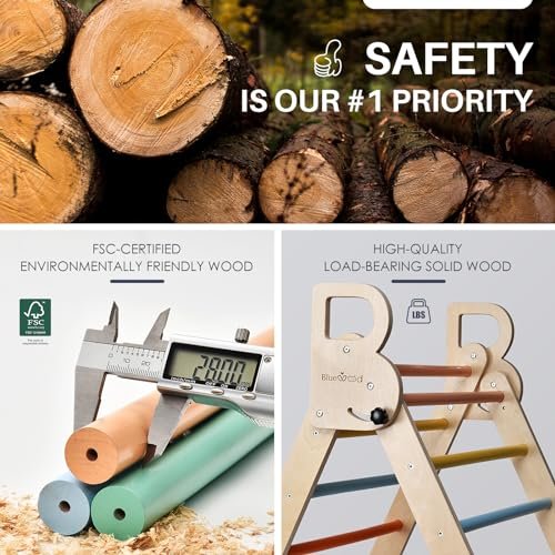 BlueWood Pikler Triangle Set, 7-in-1 Foldable Wooden Toddler Climbing Toys Indoor Playground Jungle Gym Montessori Philosophy Climber for 2-6 Years Old, Baby, Kids (Rainbow)