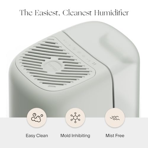 Canopy Bedside Humidifier 2.0, White, 36 HR Run Time, 2.5L Capacity - Reading Light & White Noise - Alleviate Symptoms of Allergies, Flu, Cold, Dry Skin - Humidifier, Filter, Power Cord & Adapter