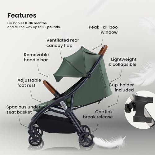 Capucci Memento Baby Stroller - Lightweight One Hand Auto Fold Compact & Self-Standing, 5 Point Safety Harness, Ample Storage, Suitable for Car Seat, Infant Stroller for Travel - Thyme Green