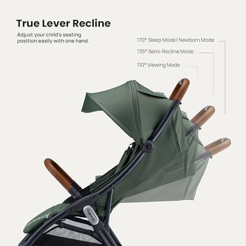 Capucci Memento Baby Stroller - Lightweight One Hand Auto Fold Compact & Self-Standing, 5 Point Safety Harness, Ample Storage, Suitable for Car Seat, Infant Stroller for Travel - Thyme Green