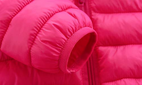 CECORC Toddler Winter Coats Lightweight Puffer Jacket for Baby Infant kids, 6-12 Month,12-18 Month, 2t,3t,4t