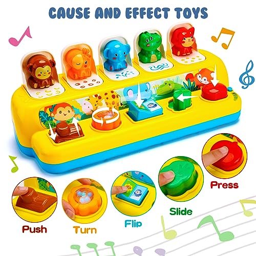 Interactive Pop up Animal Toys with Music & Light, Montessori Cause and Effect for 1 Year Old Boy Girl Early Learning Musical Baby 9-12-18 Months STEM Toddler Age 1-2 Gift Infant 35165M