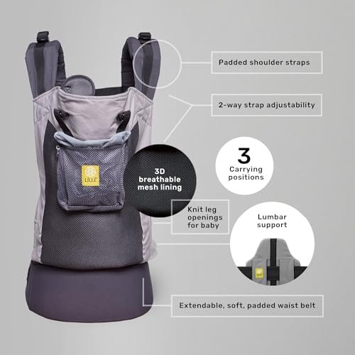 LÍLLÉbaby 3-in-1 Ergonomic CarryOn Airflow Toddler Carrier with Lumbar Support & Breathable Mesh (25-60 lbs), Supportive & Comfortable, Multi-Position Carrying for Hiking & Travel (Charcoal/Silver)