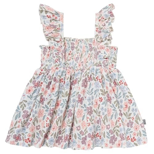 Modern Moments by Gerber Baby Girls' 2-Piece Ruffle Sleeve Dress W/Smocking & Diaper Cover Set
