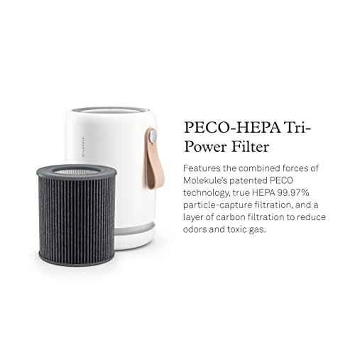 Molekule Air Purifier Mini+ - Purifies Rooms Up to 250 Sq Ft - Smart Purifier with High Pollutant Capture Rate - Air Quality Monitoring Capabilities - White