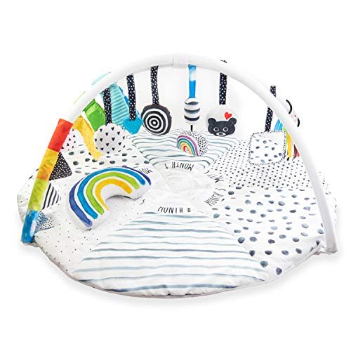 Sassy Stages STEM Developmental Play Gym, Sensory Tummy Time Activity Play Mat w/Built-in Instructions, Ultra Plush & Machine Washable Playmat for Babies & Toddlers, 0+ Months