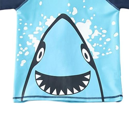 Baby Toddler Boys 3 Pieces Swimsuit Set Boys Swimwear Dinosaur Bathing Suit Rash Guards UPF 50+