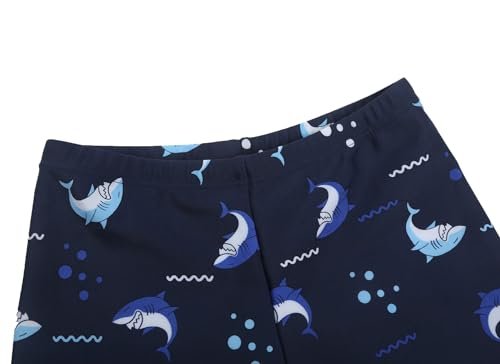 Baby Toddler Boys 3 Pieces Swimsuit Set Boys Swimwear Dinosaur Bathing Suit Rash Guards UPF 50+