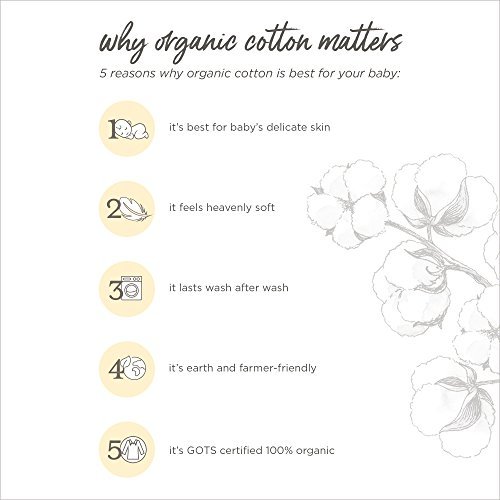 Burt's Bees Baby - Changing Pad Cover, 100% Organic Cotton Changing Pad Liner for Standard 16" x 32" Baby Changing Mats