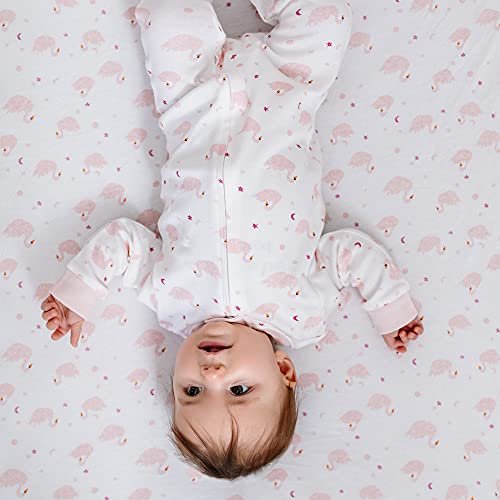 Burt's Bees Baby Girls' Loose Fit Organic Cotton Sleep and Play One-Piece Zip Front Footed Pajamas