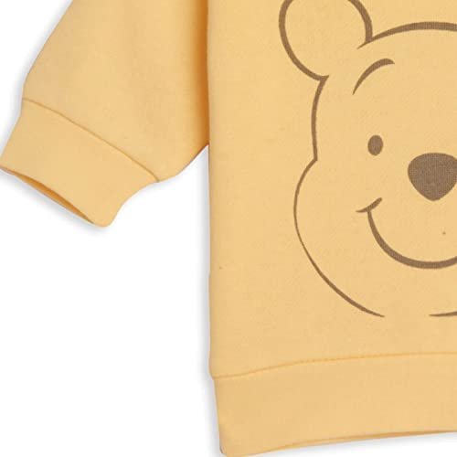Disney Classics Winnie the Pooh Mickey Mouse Baby Hoodie Bodysuit and Pants 3 Piece Outfit Set (Newborn - 24 Months)