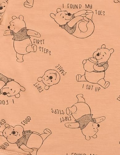 Disney Winnie the Pooh Baby 2 Pack Bamboo Bodysuits Newborn to Infant Sizes (Newborn - 24 Months)