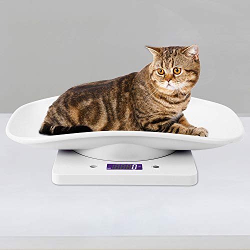 Fdit 10kg/1g Digital Small Pet Weight Toddler Scale Infant Scale Measure Babies Pets Accurately for Cats Dogs Measure Tool Electronic Kitchen Scale