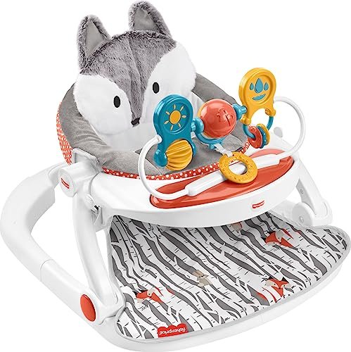 Fisher-Price Portable Baby Chair Premium Sit-Me-Up Floor Seat with Snack Tray, Toy Bar & Plush Washable Seat Pad, Peek-a-Boo Fox