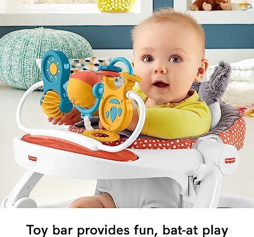 Fisher-Price Portable Baby Chair Premium Sit-Me-Up Floor Seat with Snack Tray, Toy Bar & Plush Washable Seat Pad, Peek-a-Boo Fox