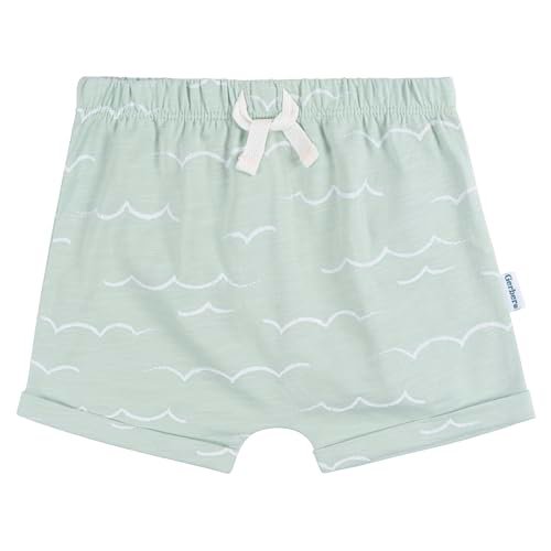 Gerber baby-boys T-shirt and Shorts Set