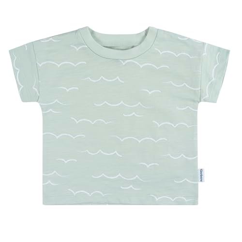 Gerber baby-boys T-shirt and Shorts Set