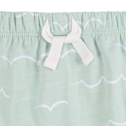 Gerber baby-boys T-shirt and Shorts Set