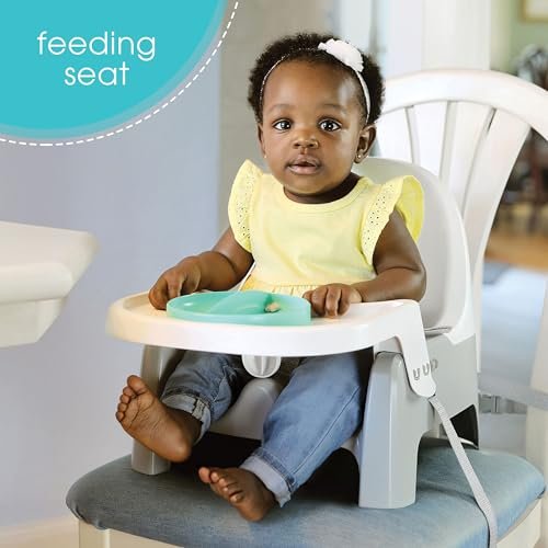 Ingenuity Deluxe Learn-to-Dine Feeding Seat – Infant and Toddler Feeding Chair and Booster Seat with Tray and 2 Snap-in Plates