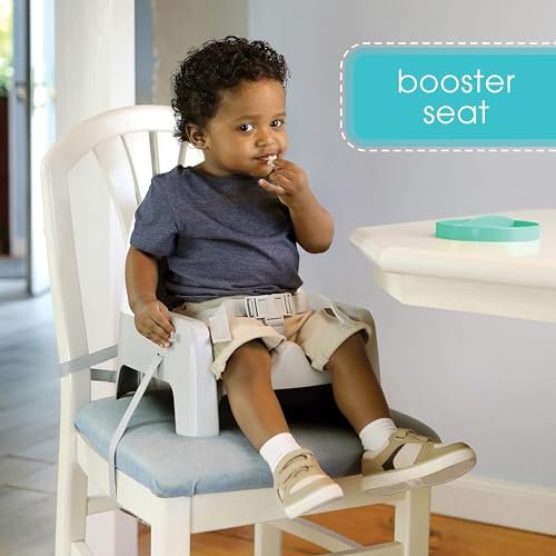 Ingenuity Deluxe Learn-to-Dine Feeding Seat – Infant and Toddler Feeding Chair and Booster Seat with Tray and 2 Snap-in Plates