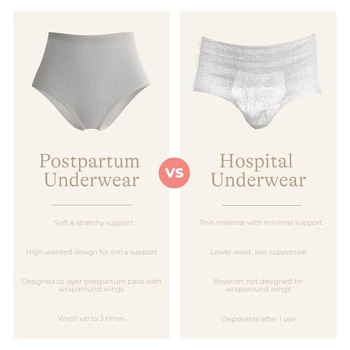 Lansinoh Peace of Mind Leak Protection & Postpartum Kit, 28-Piece Labor and Delivery Essentials with Disposable Underwear, M-L Maternity Pads and Waterproof Bed Mats, Postpartum Essentials