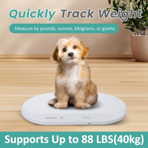 MaxWorks 51075 Baby & Pet Scale – 88 lbs Capacity, Type-C Rechargeable or AAA Battery, Large Platform, Unit Conversion, Lock & Tare, White (g/kg/lb/oz)