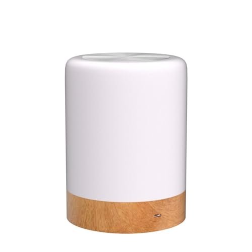 Night Light, Touch Lamp for Bedrooms Living Room Portable Table Bedside Lamps with Rechargeable Internal Battery Dimmable 2800K-3100K Warm White Light & Color Changing RGB (Regular Size)…