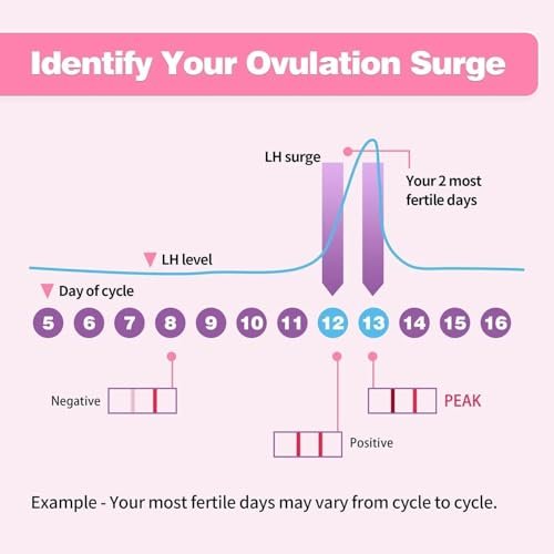 Ovulation Test Strips, Fertility Test Ovulation Predictor Kit with Free Urine Cup for Women Natural Cycles, 50 LH Strips (50)