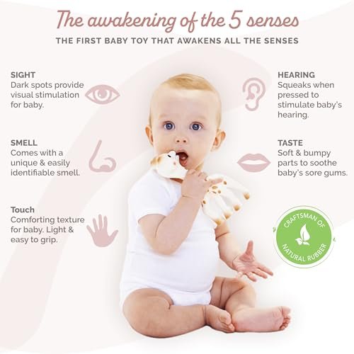 Sophie la girafe | Handcrafted for 60 Years in France | 100% Natural Rubber | Designed for Teething Babies | Awaken All 5 Senses | Easy to Clean | Pack of 1
