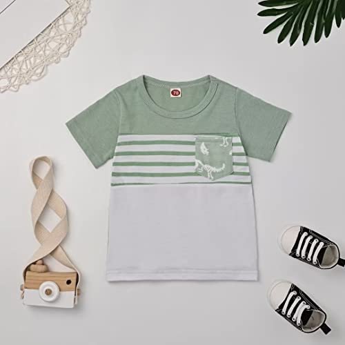 Toddler Baby Boy Clothes Boys Summer Outfits Short Sleeve Dinosaur T-Shirt & Shorts Set 2Pcs