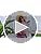 Xpenyo Womens Maternity Tops Long Sleeves Casual Pregnancy Tunic Shirts 2024 Fall Fashion Crew Neck Pregnant Dressy Blouses