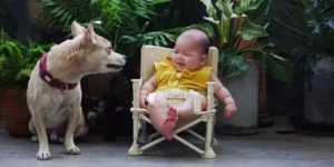 Safety Tips for Introducing Your Baby to Pets