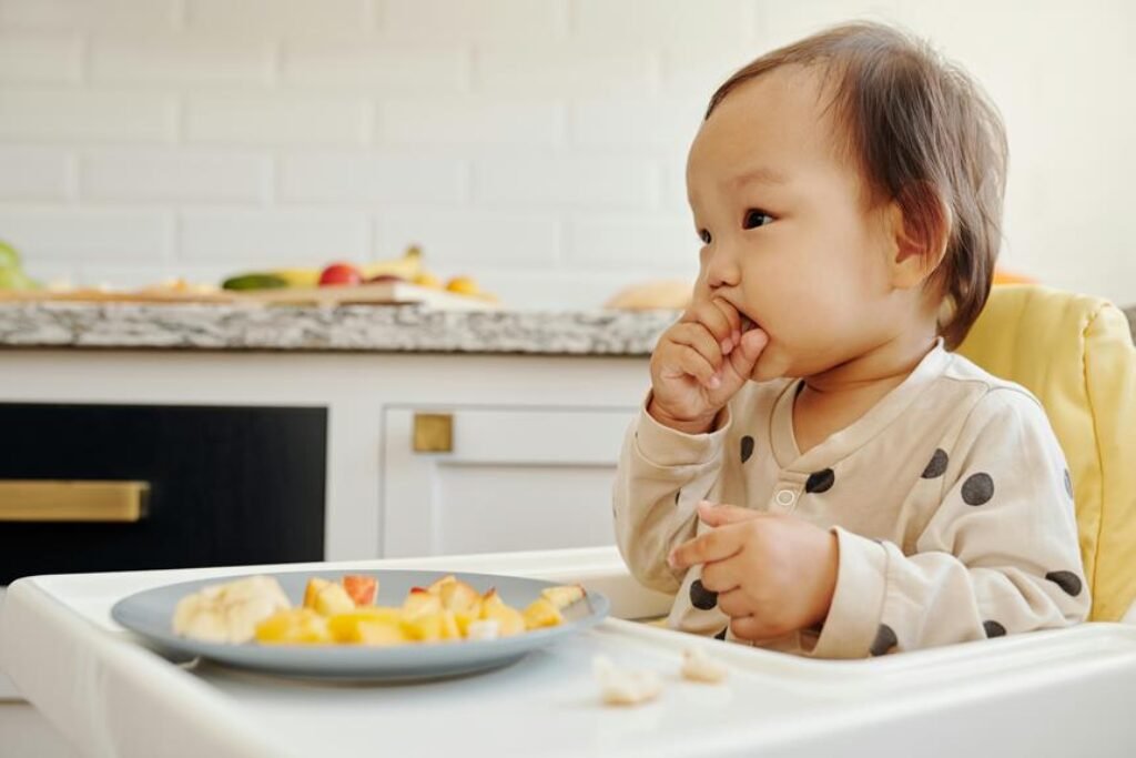 Building a Balanced Baby Diet